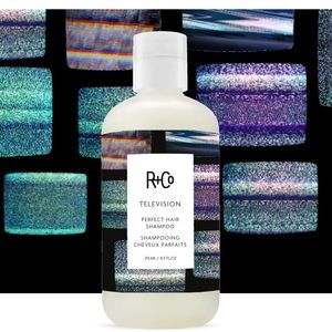 R+Co Television Perfect Hair Shampoo